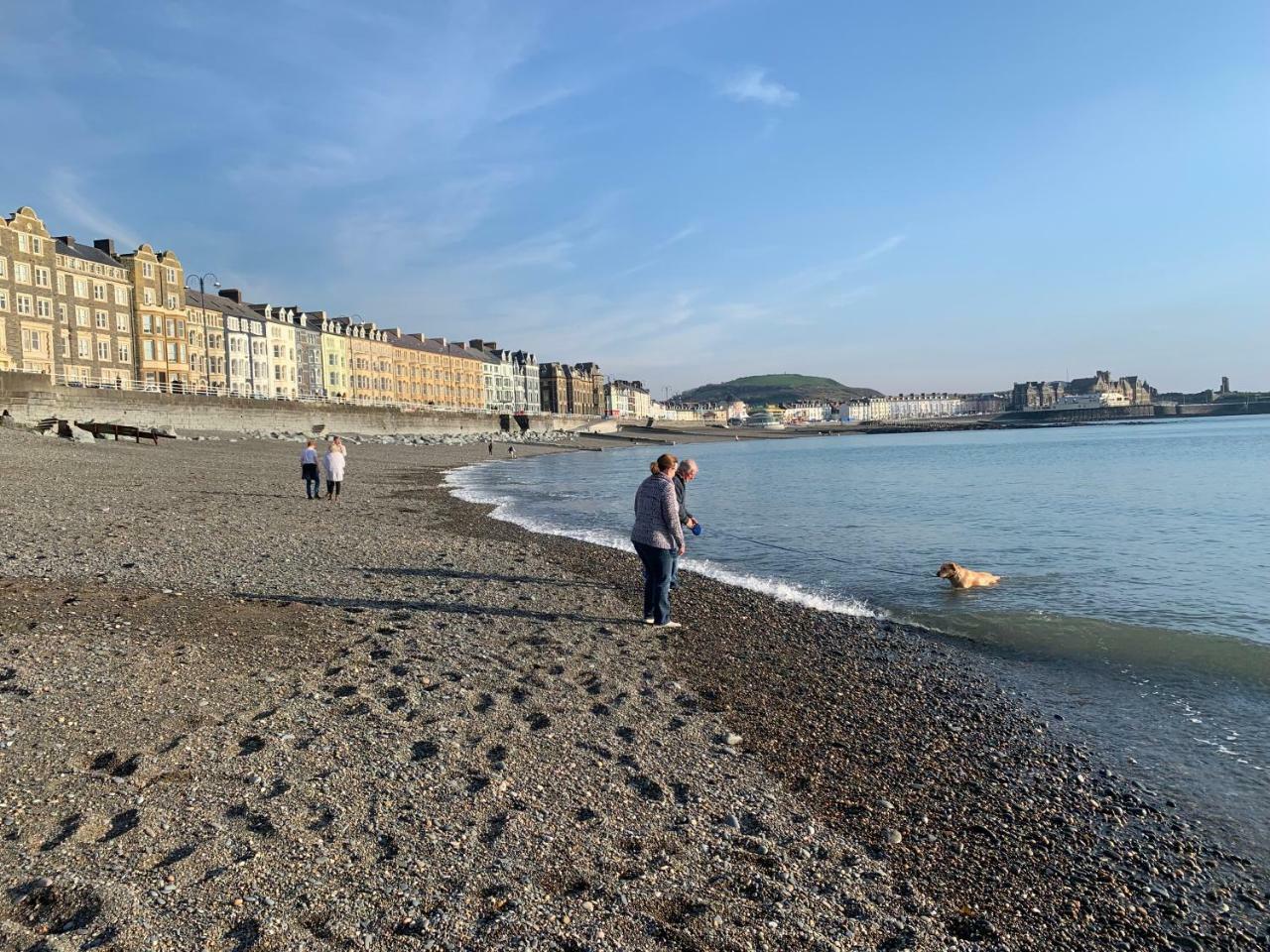 Cardigan Bay Self Catering Accommodation Aberystwyth Exteriér fotografie