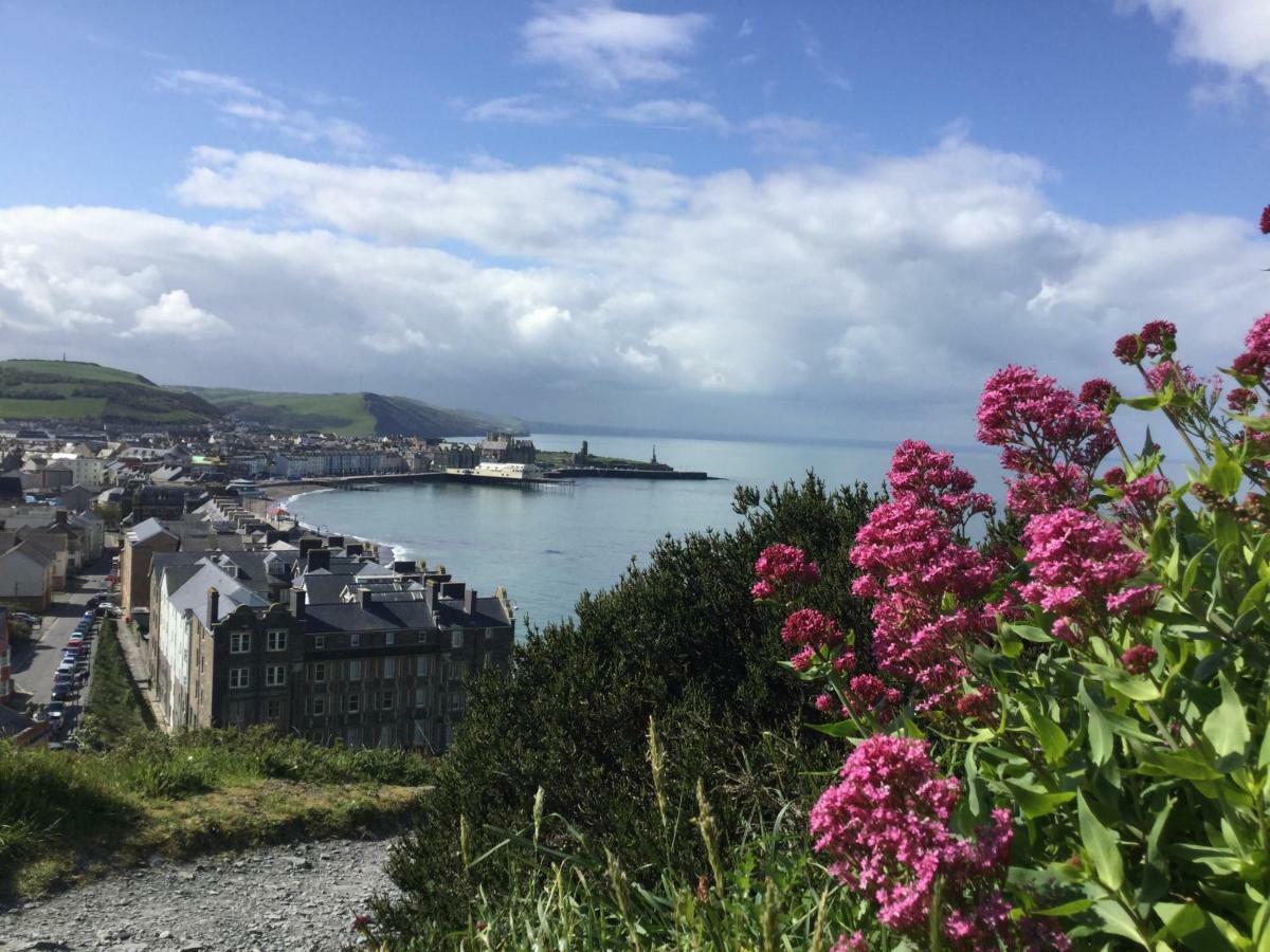 Cardigan Bay Self Catering Accommodation Aberystwyth Exteriér fotografie
